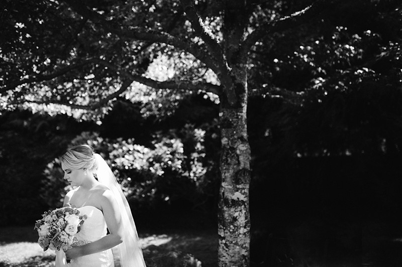 RedCedarFarmWeddingPhotos.PoulsboWeddingPhotographer.KitsapWeddingPhotographer.TonieChristinePhotography_0136