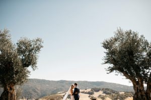 TrePostiWeddingPhotosNapaValleyWeddingPhotographerRoqueEventsWeddingNapaWeddingPhotographerTrePostiEvents