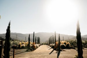 TrePostiWeddingPhotosNapaValleyWeddingPhotographerRoqueEventsWeddingNapaWeddingPhotographerTrePostiEvents